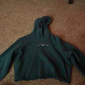 hollister cropped hoodie